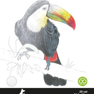 Kangaro K-5330 Tekenblok A4 200 Gr 20 Vel Wit Fijne Korrel Kopgelijmd