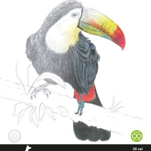 Kangaro K-5331 Tekenblok 27x36cm 200 Gr 20 Vel Wit Fijne Korrel Kopgelijmd