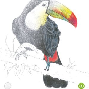 Kangaro K-5332 Tekenblok A3 200 Gr 20 Vel Wit Fijne Korrel Kopgelijmd