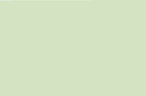 Kangaro 07070-01 Scheidingsstrook 2-gaats 105x240mm 180g RC Groen