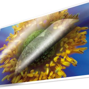 Kangaro K-16008 Lamineerhoes 100 Micron 100 Vel 216x303mm