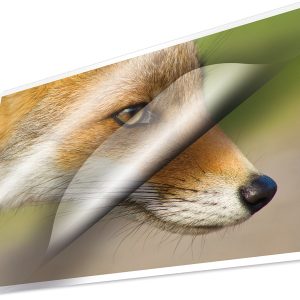 Kangaro K-16001 Lamineerhoes 125 Micron 100 Vel 54x86mm