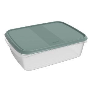 Rotho ELEMENTS Koelkast Bewaardoos 31x24x10 cm 5L Mistletoe Groen/Transparant