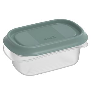 Rotho ELEMENTS Koelkast Bewaardoos 12x8x5 cm 0.2L Mistletoe Groen/Transparant