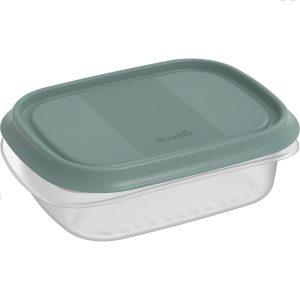 Rotho ELEMENTS Koelkast Bewaardoos 16x12x5 cm 0.5L Mistletoe Groen/Transparant