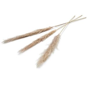 Pampas Kunstbloem 150 Cm Set Van 3 Naturel