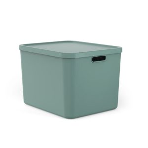 Rotho Albula Multibox 55L Mistletoe Groen