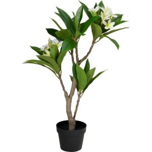 Kunstplant Plumeria 50x90 cm Wit/Groen