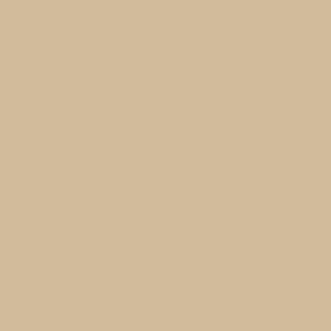 Duni Papieren Servetten 33x33 cm 20 Stuks Bruin